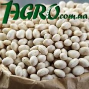 1agro.com.ua