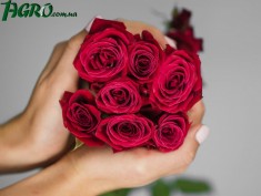 1agro.com.ua