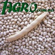 1agro.com.ua