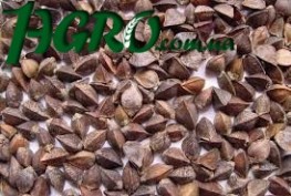 1agro.com.ua