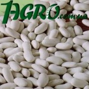 1agro.com.ua