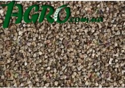 1agro.com.ua