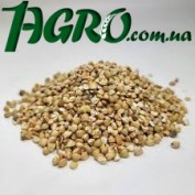 1agro.com.ua