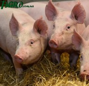 1agro.com.ua