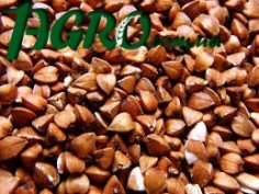 1agro.com.ua