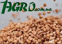 1agro.com.ua
