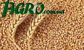 1agro.com.ua