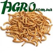 1agro.com.ua
