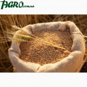 1agro.com.ua