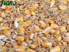 1agro.com.ua