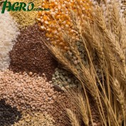 1agro.com.ua