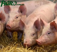 1agro.com.ua