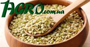 1agro.com.ua