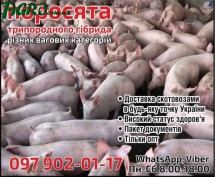 1agro.com.ua