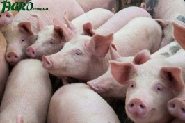 1agro.com.ua