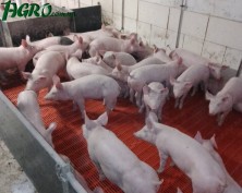 1agro.com.ua