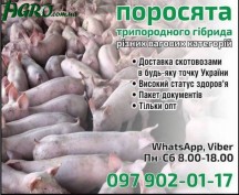 1agro.com.ua