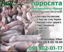 1agro.com.ua