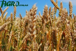 1agro.com.ua
