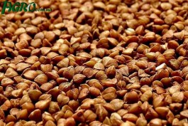1agro.com.ua