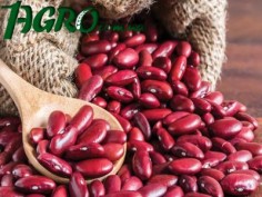 1agro.com.ua