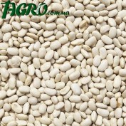 1agro.com.ua