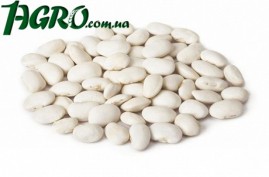 1agro.com.ua