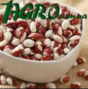 1agro.com.ua