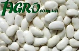 1agro.com.ua