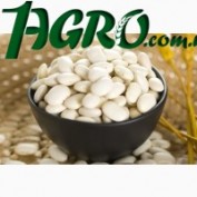1agro.com.ua