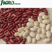 1agro.com.ua