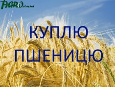 1agro.com.ua