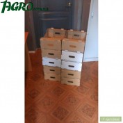 1agro.com.ua