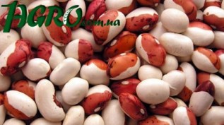 1agro.com.ua