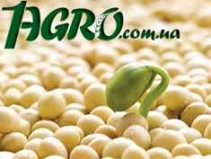 1agro.com.ua
