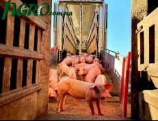 1agro.com.ua