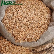 1agro.com.ua