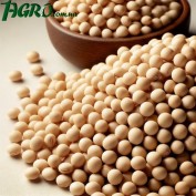 1agro.com.ua