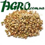 1agro.com.ua