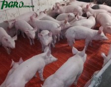 1agro.com.ua