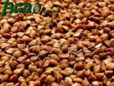 1agro.com.ua