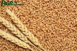 1agro.com.ua
