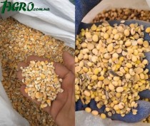 1agro.com.ua