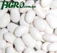 1agro.com.ua