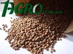 1agro.com.ua