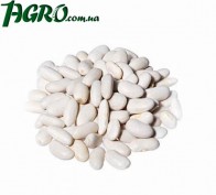 1agro.com.ua