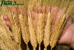 1agro.com.ua