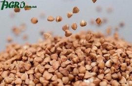 1agro.com.ua