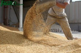 1agro.com.ua
