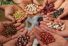1agro.com.ua
